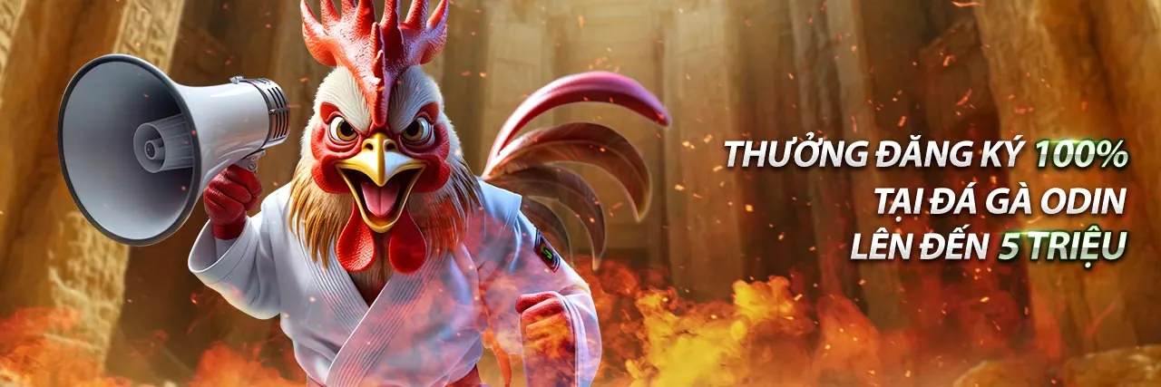 Đá Gà Trực Tuyến bj99 - Trận Đấu Kịch Tính